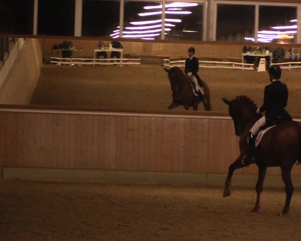 Reitturnier Gut Hohenkamp / Dorsten 2019