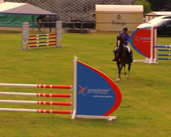 Reitturnier Altmittweida 2019