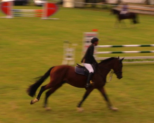 Reitturnier Altmittweida 2019