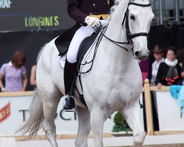 dressage horse Farinelli 14 (Westphalian, 1999, from Florestan I)