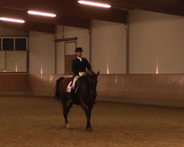 Reitturnier Gut Hohenkamp / Dorsten 2019