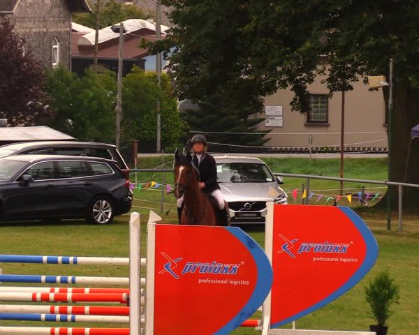 Reitturnier Altmittweida 2019