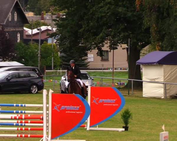 Reitturnier Altmittweida 2019