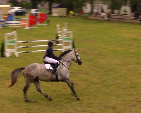 Reitturnier Altmittweida 2019