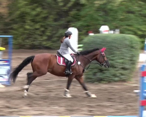 Reitturnier Berlin-Rudow 2019