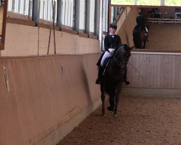 Reitturnier Gut Hohenkamp / Dorsten 2019