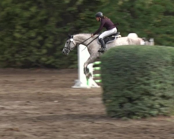 Reitturnier Berlin-Rudow 2019