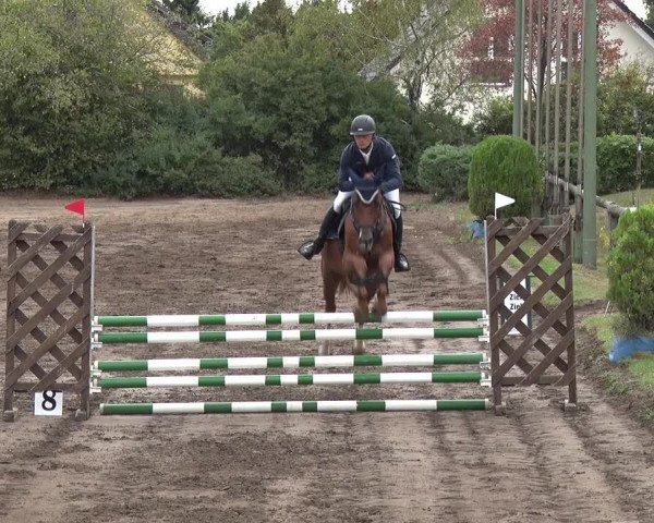 Reitturnier Berlin-Rudow 2019