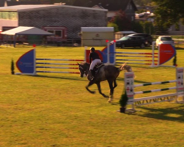 Reitturnier Altmittweida 2019