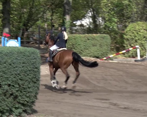 Reitturnier Berlin-Rudow 2019
