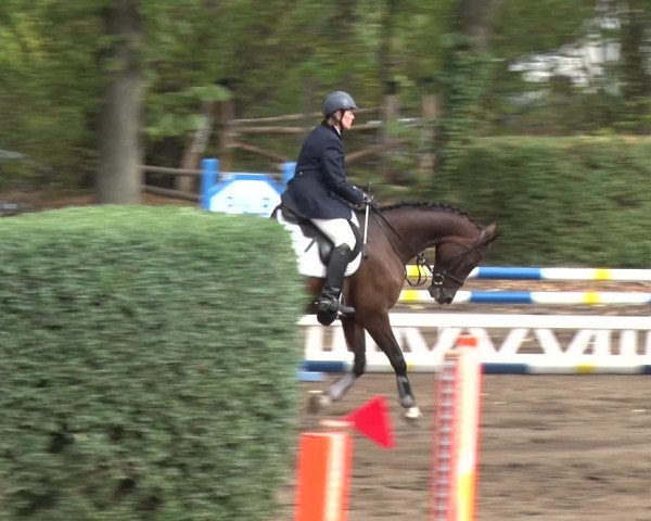 Reitturnier Berlin-Rudow 2019