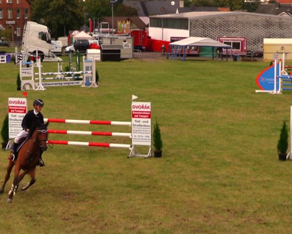 Reitturnier Altmittweida 2019