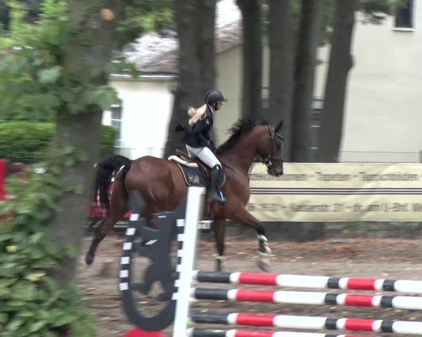 Reitturnier Berlin-Rudow 2019