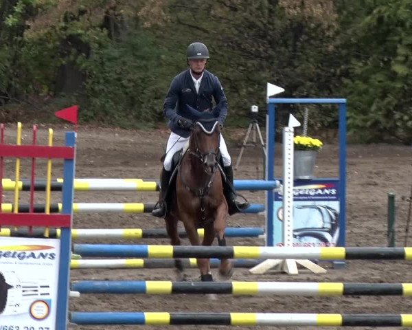 Reitturnier Berlin-Rudow 2019