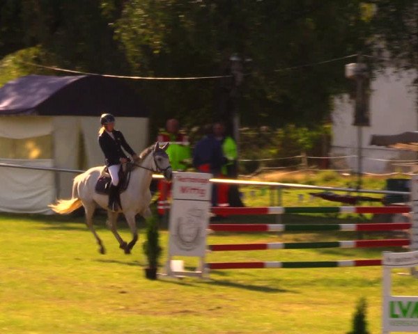 Reitturnier Altmittweida 2019