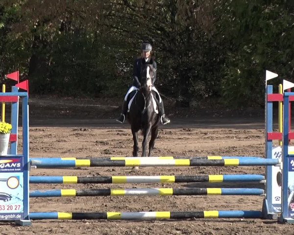 Reitturnier Berlin-Rudow 2019