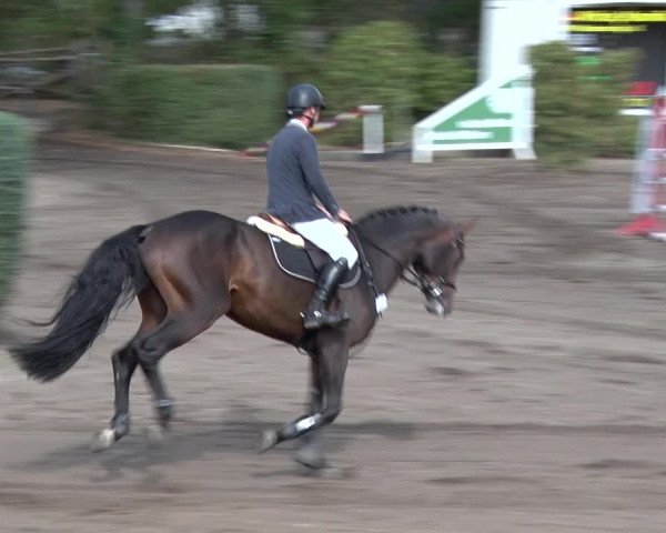 Reitturnier Berlin-Rudow 2019