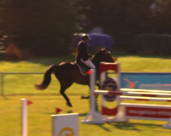Reitturnier Altmittweida 2019
