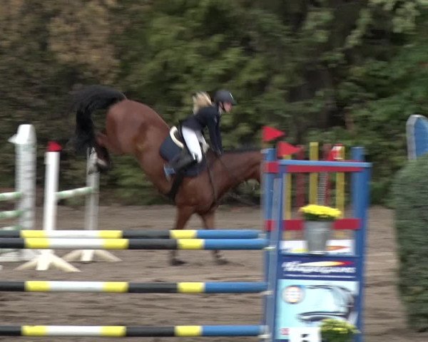 Reitturnier Berlin-Rudow 2019