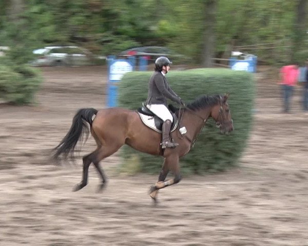Reitturnier Berlin-Rudow 2019