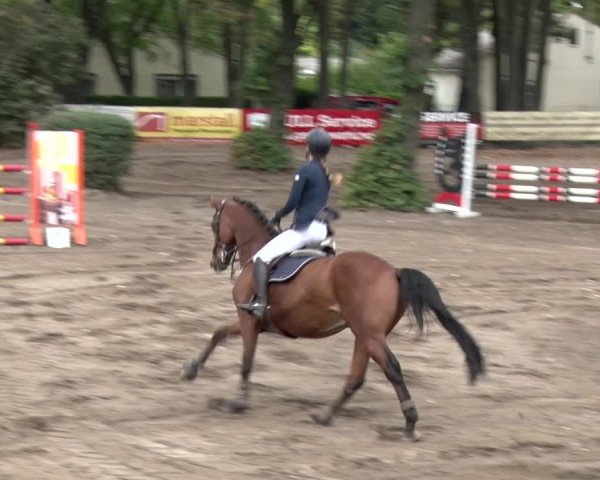 Reitturnier Berlin-Rudow 2019