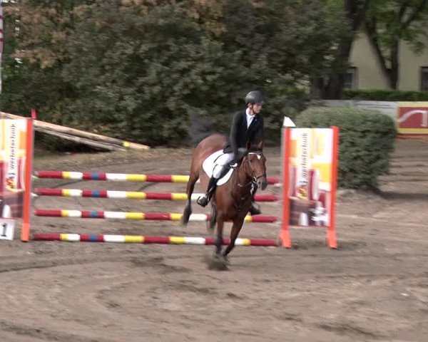 Reitturnier Berlin-Rudow 2019
