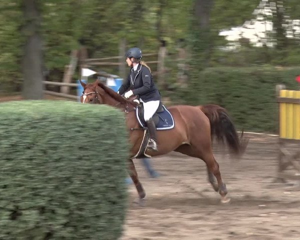 Reitturnier Berlin-Rudow 2019
