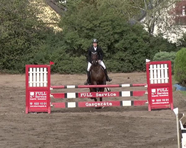 Reitturnier Berlin-Rudow 2019