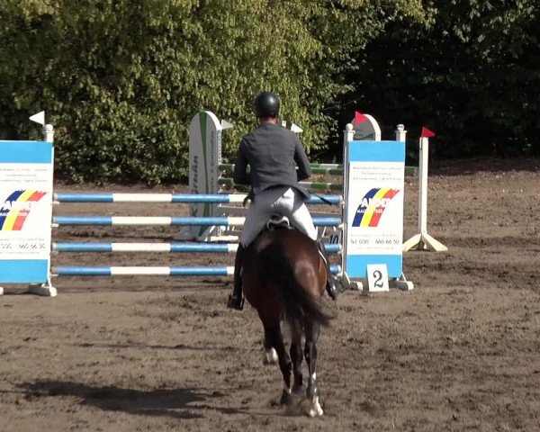 Reitturnier Berlin-Rudow 2019