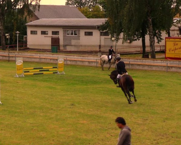 Reitturnier Altmittweida 2019