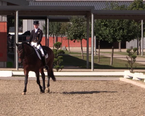 Reitturnier Gut Hohenkamp / Dorsten 2019