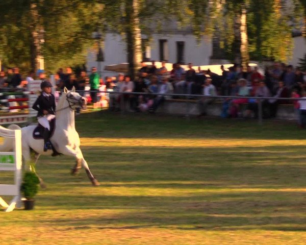 Reitturnier Altmittweida 2019