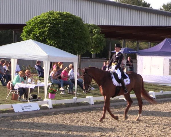 Reitturnier Gut Hohenkamp / Dorsten 2019