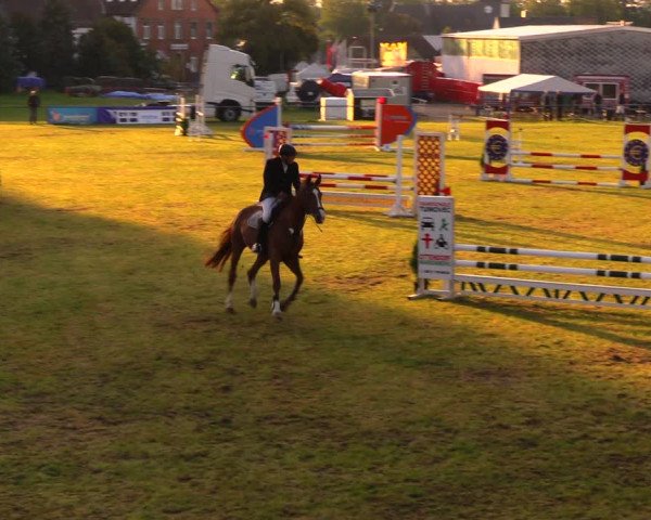 Reitturnier Altmittweida 2019
