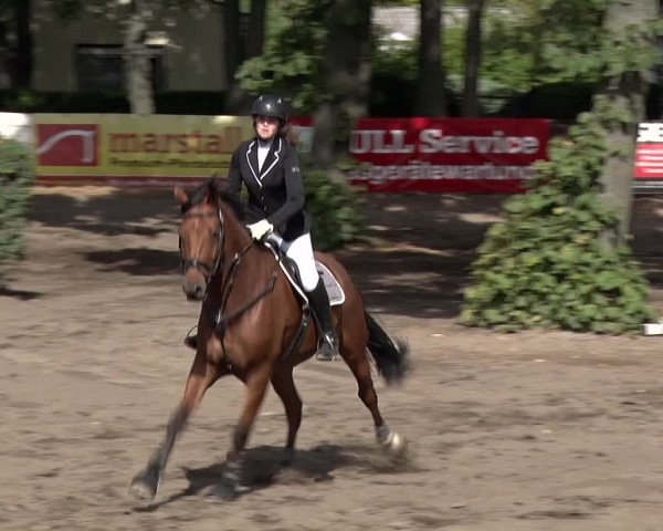 Reitturnier Berlin-Rudow 2019