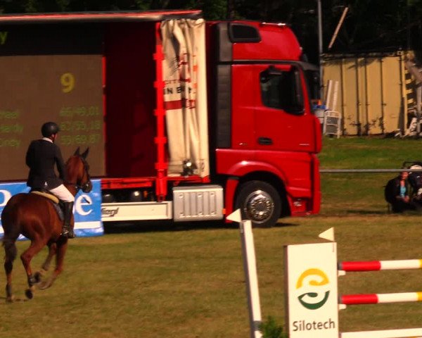 Reitturnier Altmittweida 2019