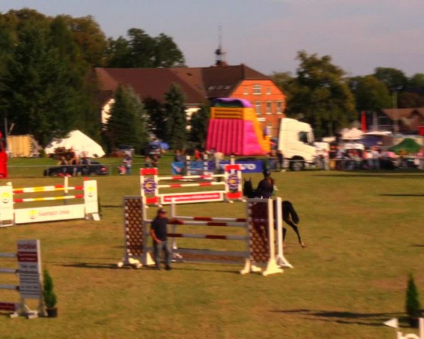 Reitturnier Altmittweida 2019