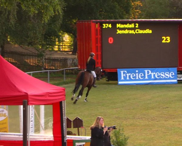 Reitturnier Altmittweida 2019
