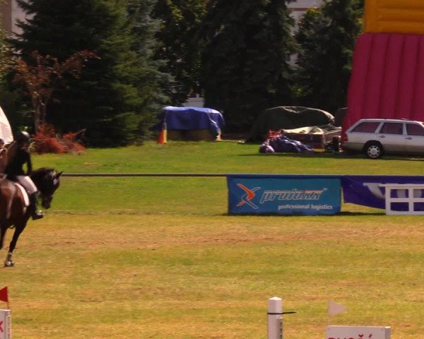 Reitturnier Altmittweida 2019