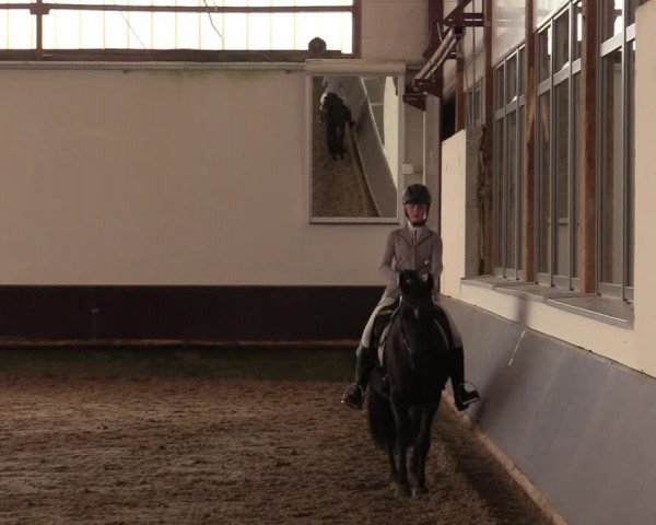 Reitturnier Albersloh 2019