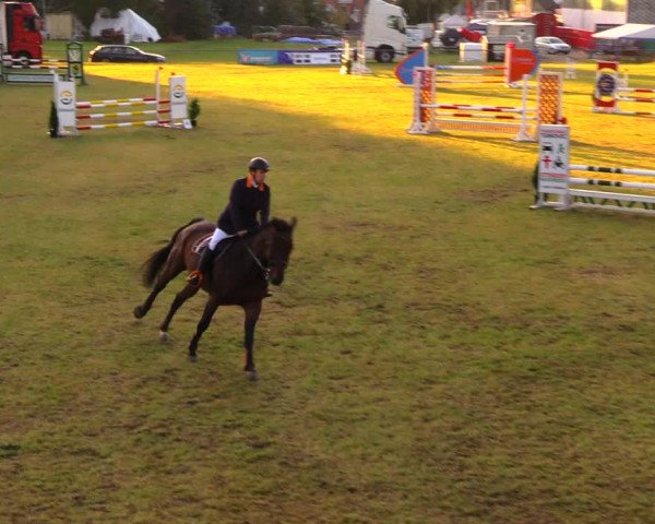 Reitturnier Altmittweida 2019