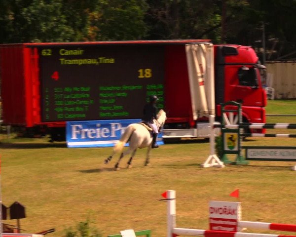 Reitturnier Altmittweida 2019