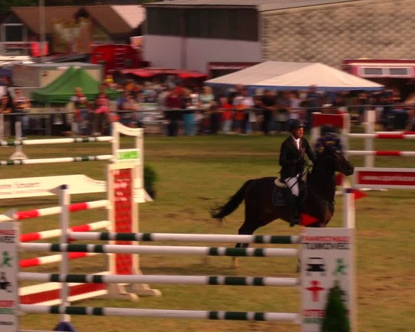 Reitturnier Altmittweida 2019