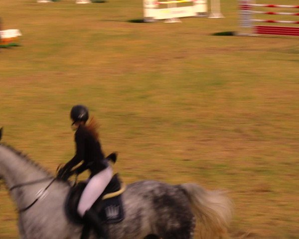 Reitturnier Altmittweida 2019