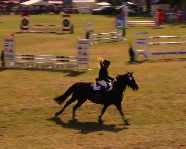Reitturnier Altmittweida 2019