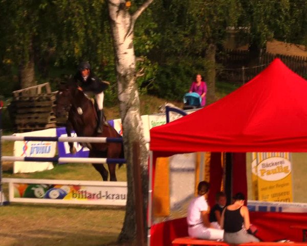 Reitturnier Altmittweida 2019