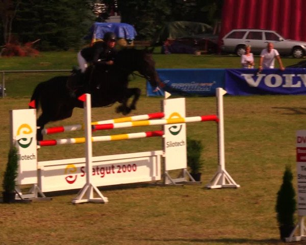 Reitturnier Altmittweida 2019
