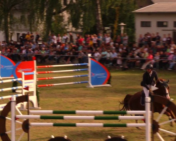 Reitturnier Altmittweida 2019