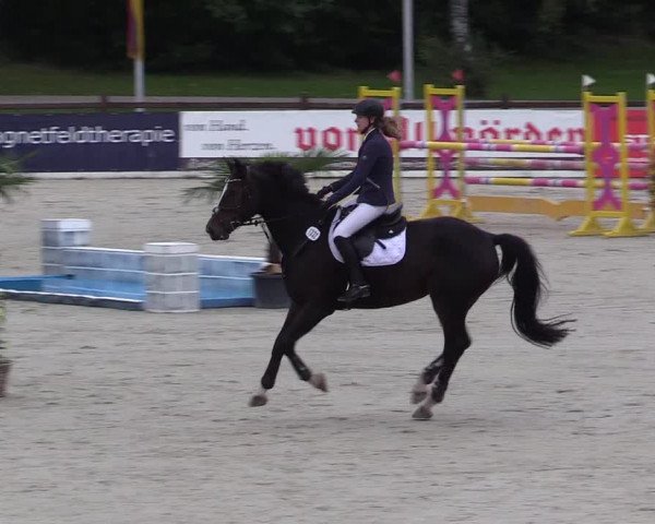 Reitturnier Westergellersen 2021