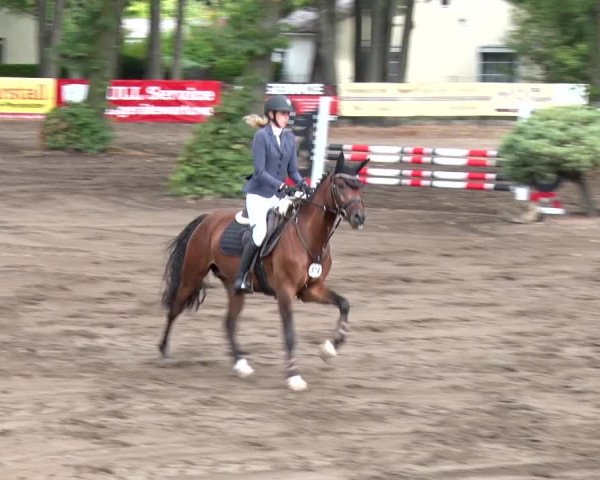Reitturnier Berlin-Rudow 2019